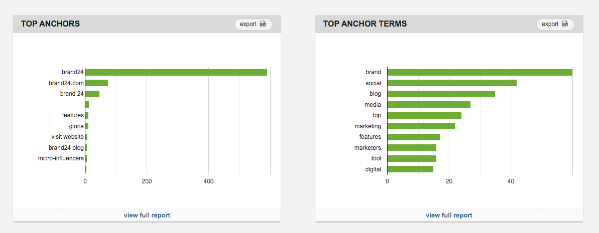 Top Anchors & Terms